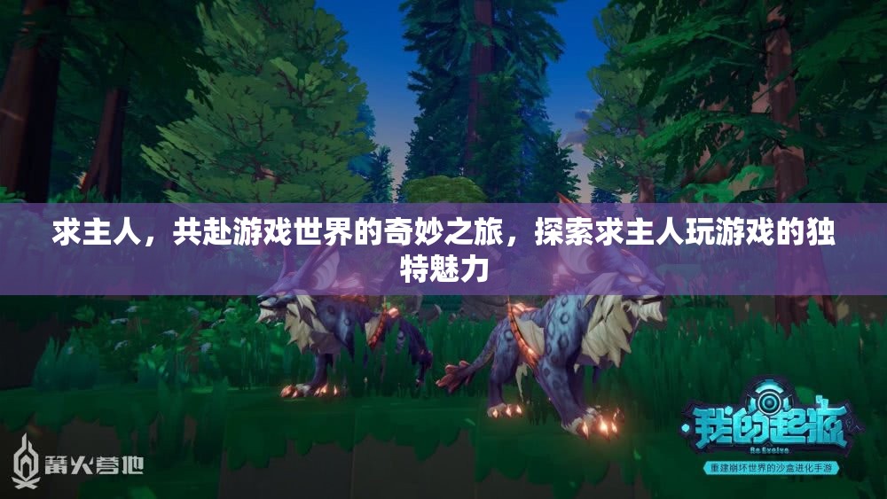 求主共游，探索游戲世界的奇妙之旅與獨(dú)特魅力  第1張