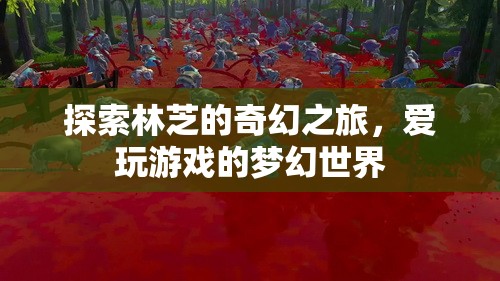 林芝奇幻之旅，愛玩游戲者的夢幻世界探索