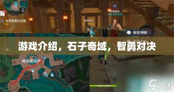 石子奇域，智勇對(duì)決的冒險(xiǎn)之旅