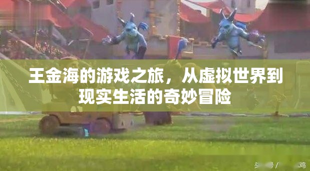 王金海，從虛擬游戲到現(xiàn)實(shí)生活的奇妙冒險(xiǎn)之旅