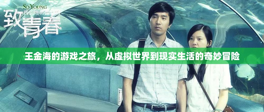 王金海，從虛擬游戲到現(xiàn)實(shí)生活的奇妙冒險(xiǎn)之旅