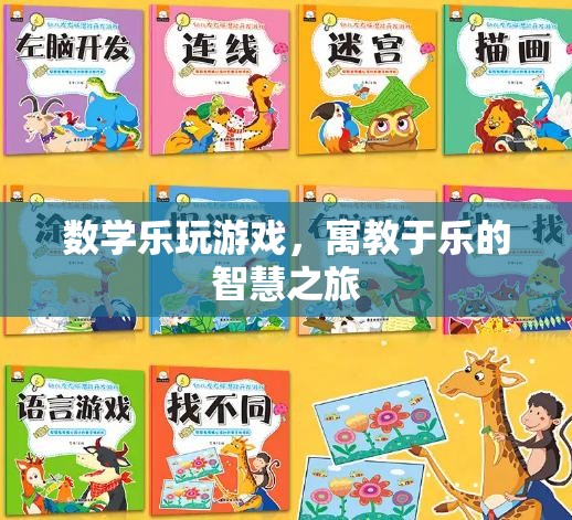 數(shù)學(xué)樂(lè)玩游戲，寓教于樂(lè)的智慧探索之旅