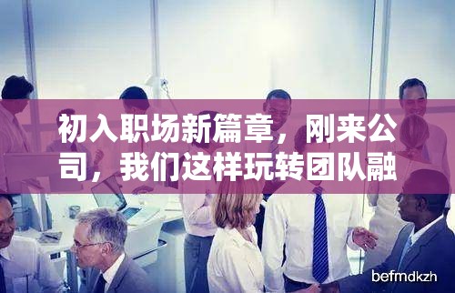 初入職場新篇章，新團(tuán)隊融合的創(chuàng)意玩法