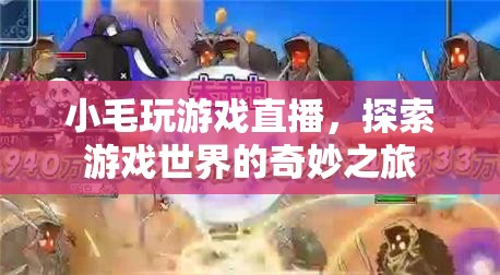 小毛的直播之旅，探索游戲世界的奇妙冒險(xiǎn)