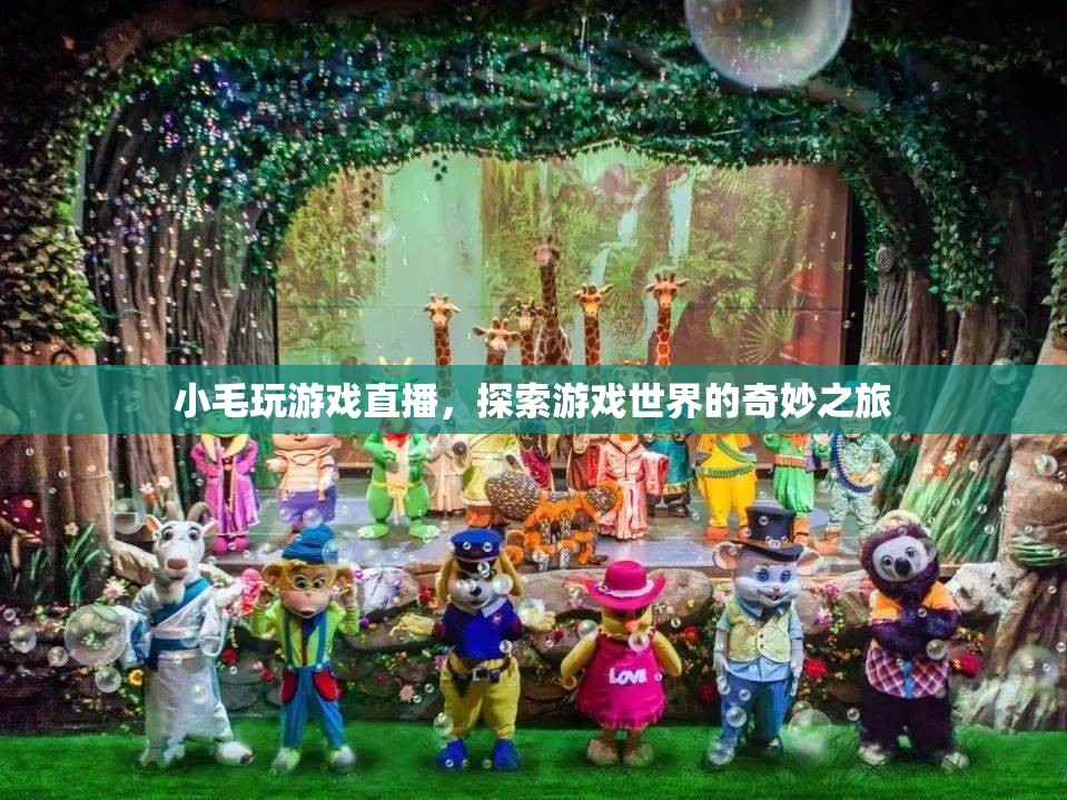 小毛的直播之旅，探索游戲世界的奇妙冒險(xiǎn)