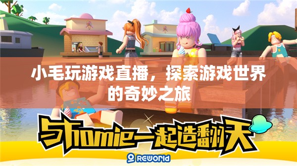 小毛的直播之旅，探索游戲世界的奇妙冒險(xiǎn)