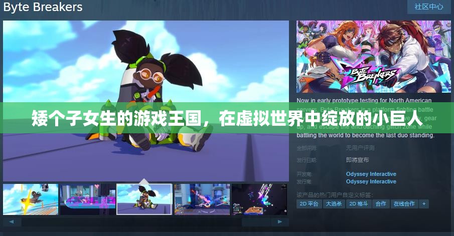 虛擬世界的綻放，矮個子女生的游戲王國