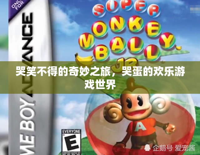 哭笑不得的奇妙之旅，哭蛋的歡樂(lè)游戲世界