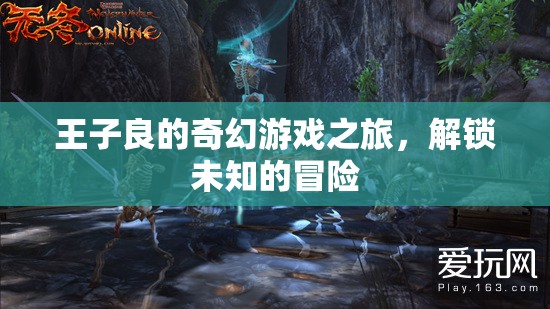 王子良的奇幻游戲之旅，解鎖未知的冒險(xiǎn)