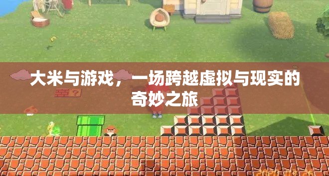 大米與游戲，一場跨越虛擬與現(xiàn)實的奇妙探索之旅