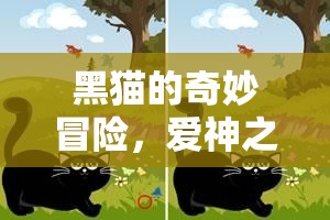 黑貓的奇幻之旅，揭秘愛神之謎