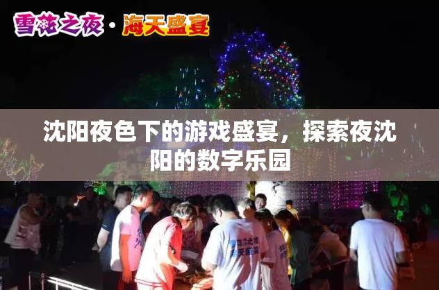 夜沈陽的數(shù)字樂園，探索沈陽夜色下的游戲盛宴