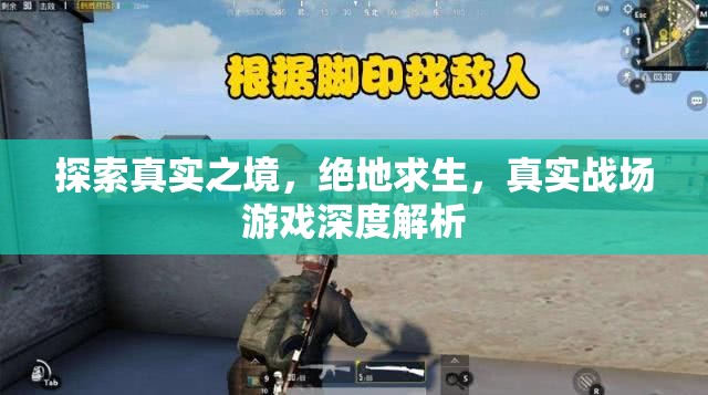 絕地求生，真實戰(zhàn)場游戲的深度探索與解析