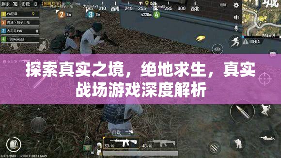 絕地求生，真實戰(zhàn)場游戲的深度探索與解析