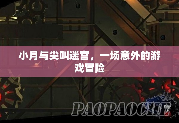 小月與尖叫迷宮，一場(chǎng)意外的游戲冒險(xiǎn)之旅