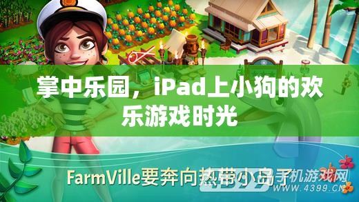 iPad上的掌中樂園，小狗的歡樂游戲時光