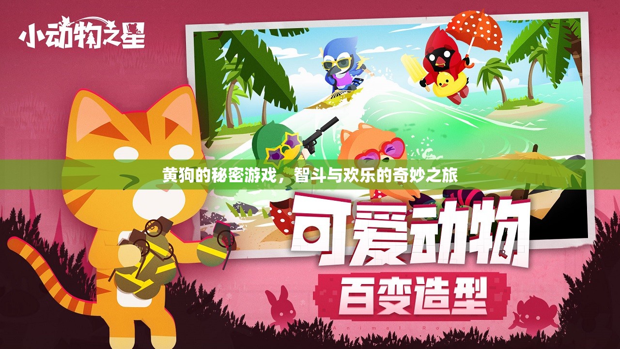 黃狗的秘密游戲，智斗與歡樂(lè)的奇妙冒險(xiǎn)