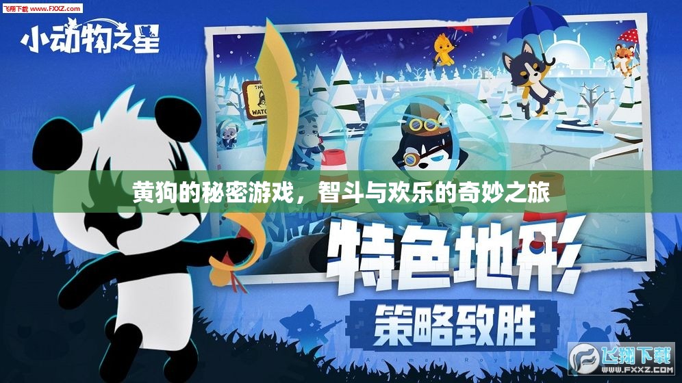 黃狗的秘密游戲，智斗與歡樂(lè)的奇妙冒險(xiǎn)