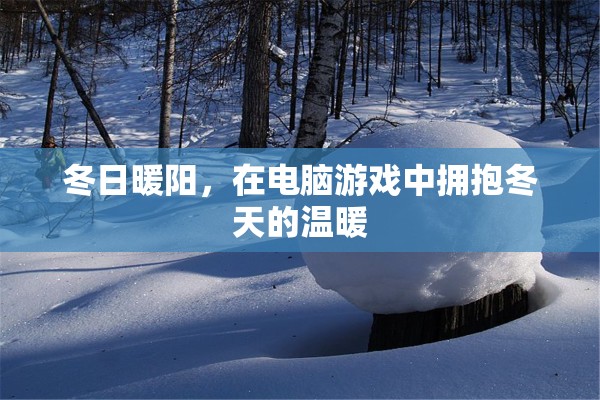 冬日暖陽，在電腦游戲中擁抱冬天的溫暖
