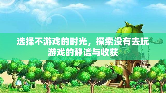 靜謐時(shí)光，探索不游戲的收獲與靜謐之美  第3張