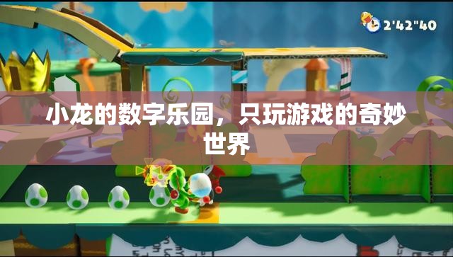 小龍的數(shù)字樂(lè)園，探索只玩游戲的奇妙世界