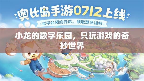 小龍的數(shù)字樂(lè)園，探索只玩游戲的奇妙世界