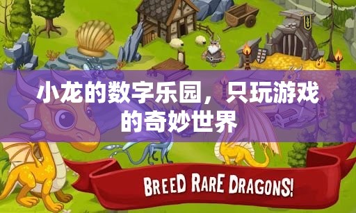 小龍的數(shù)字樂(lè)園，探索只玩游戲的奇妙世界