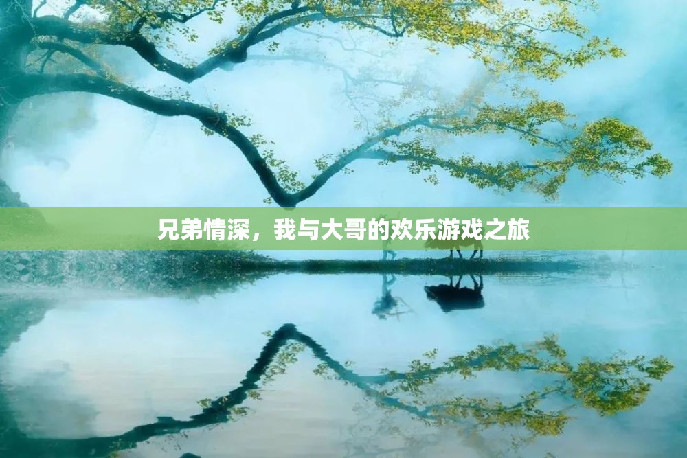 兄弟共舞，我與大哥的歡樂游戲之旅