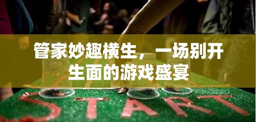 管家妙趣橫生，一場別開生面的游戲盛宴