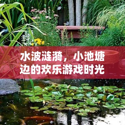 小池塘邊的漣漪歡笑，一場(chǎng)水邊的歡樂游戲時(shí)光