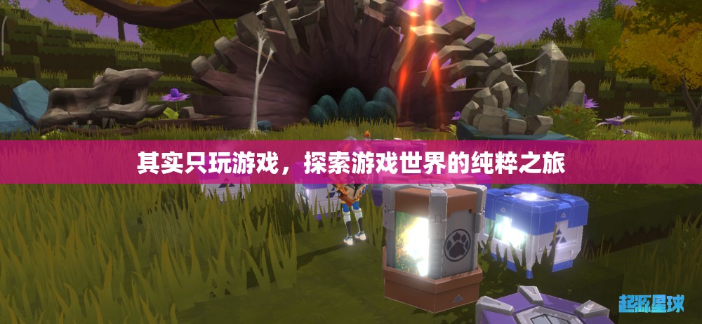 純粹之旅，探索游戲世界的無盡魅力