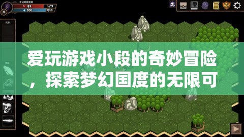 小段的游戲奇遇，探索夢(mèng)幻國(guó)度的無限可能