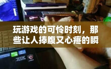 游戲中的笑中帶淚，那些既讓人捧腹又令人心疼的瞬間  第1張