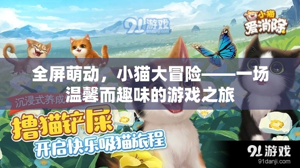 全屏萌動，小貓大冒險的溫馨趣味之旅