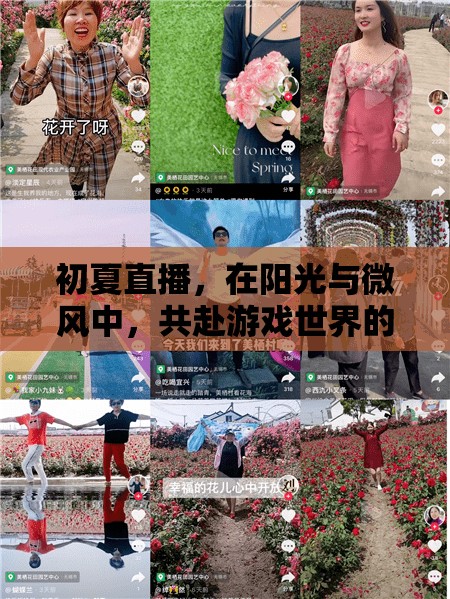 初夏陽(yáng)光下的游戲盛宴，共赴直播的夢(mèng)幻之旅