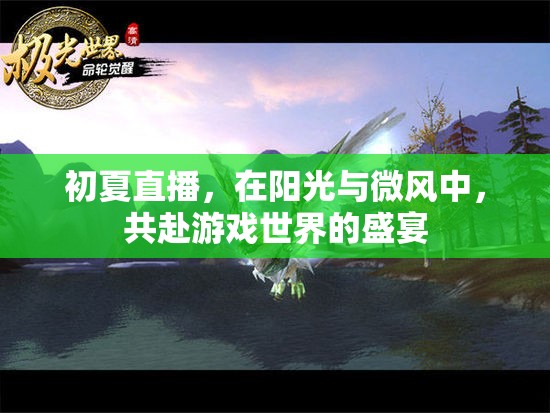 初夏陽(yáng)光下的游戲盛宴，共赴直播的夢(mèng)幻之旅