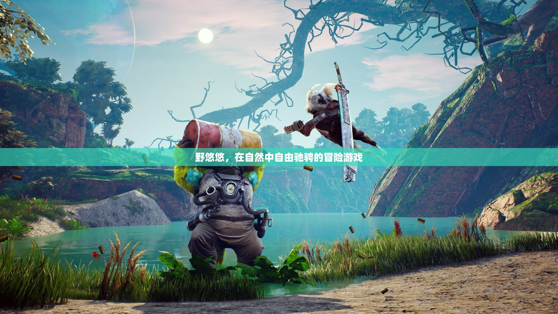 野悠悠，自然中的自由冒險(xiǎn)