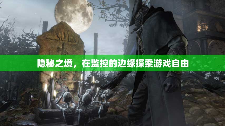 監(jiān)控邊緣的自由探索，揭秘隱秘之境的游戲魅力  第2張