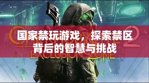 禁玩游戲背后的智慧與挑戰(zhàn)，探索國(guó)家政策下的青少年成長(zhǎng)新路徑
