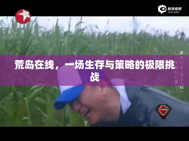 荒島在線，生存與策略的極限挑戰(zhàn)