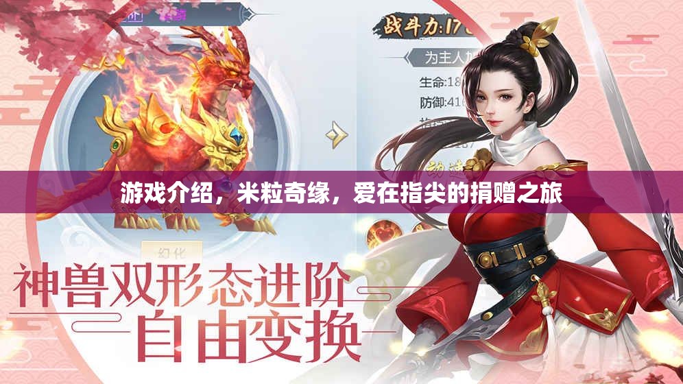 米粒奇緣，愛在指尖的捐贈之旅