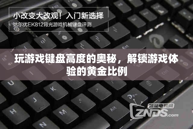 解鎖游戲體驗(yàn)的黃金比例，探究游戲鍵盤高度的奧秘