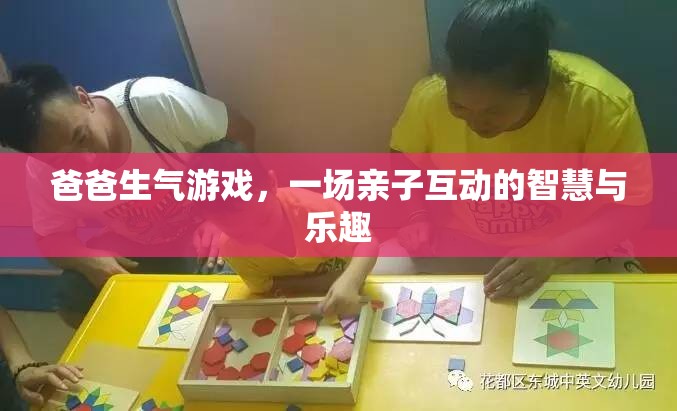爸爸生氣游戲，親子互動(dòng)中的智慧與樂(lè)趣