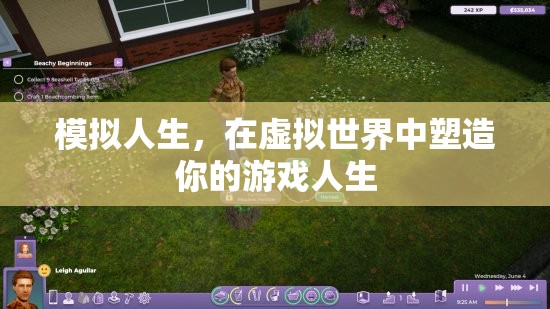 虛擬人生塑造，在模擬世界中定義你的游戲人生