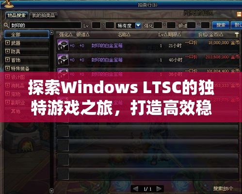 Windows LTSC，打造高效穩(wěn)定的游戲平臺，開啟獨特游戲之旅