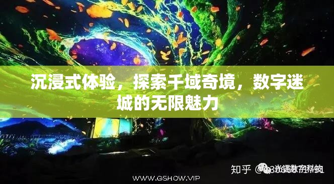 千域奇境，解鎖數(shù)字迷城的沉浸式探索之旅  第2張