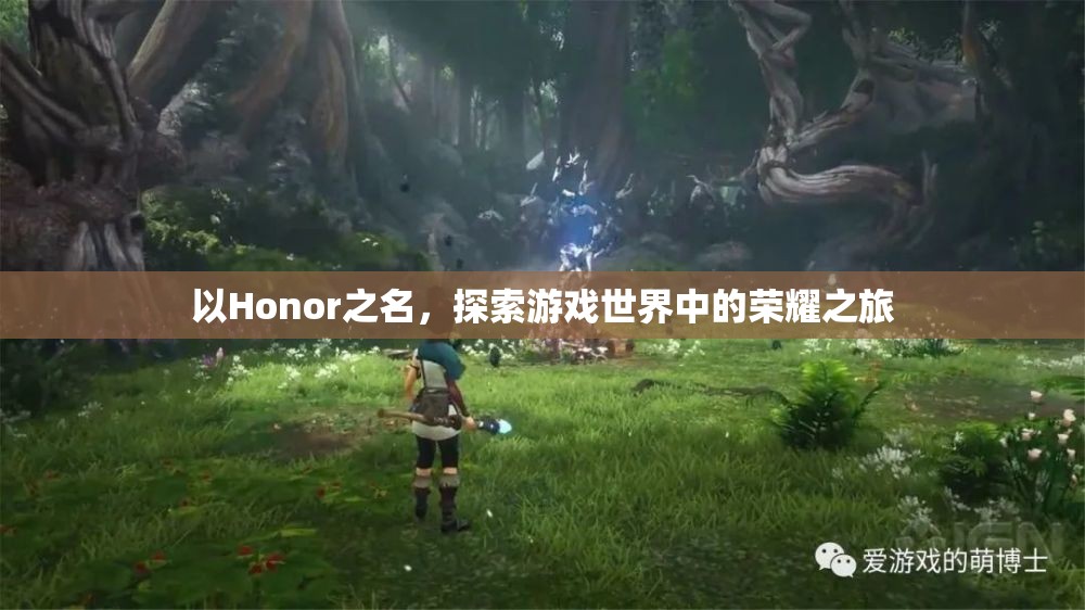 以Honor之名，探索游戲世界的榮耀之旅