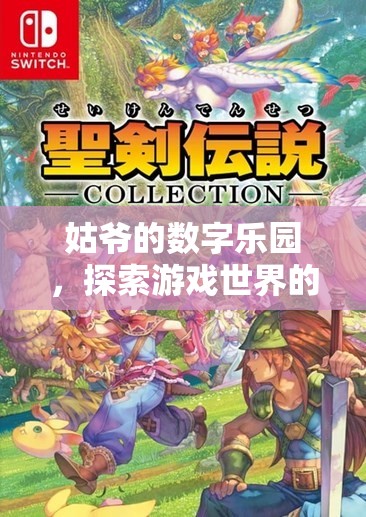 姑爺?shù)臄?shù)字樂園，解鎖游戲世界的無限可能