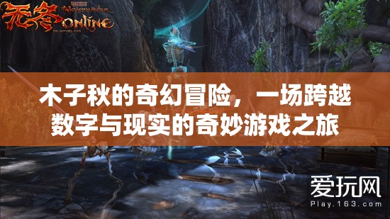 木子秋，數(shù)字與現(xiàn)實(shí)交織的奇幻冒險(xiǎn)之旅