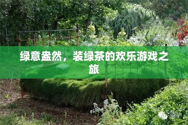 綠意盎然，裝綠茶的歡樂游戲之旅